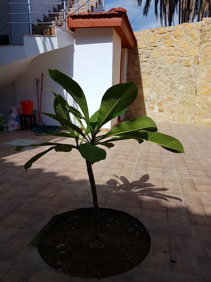 Aksaray Boutique Hotel Nicosia Exterior photo